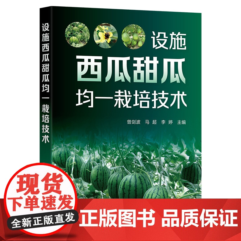 设施西瓜甜瓜均一栽培技术 曾剑波 一本西瓜甜瓜栽培技术的实用手册 西瓜、甜瓜种植者企业合作社以及农业技术人员阅读参考高清大图