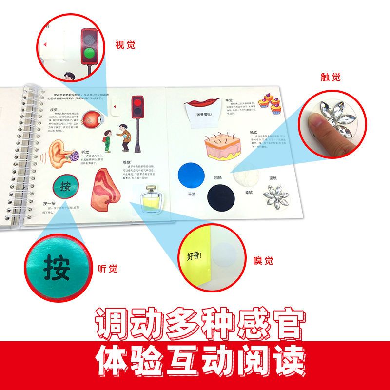 我们的身体立体书 我们的身体3d立体书儿童绘本2-3-4-6岁 互动科普立体翻翻书揭秘身