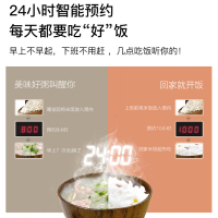 苏泊尔(SUPOR)电饭煲家用5L大容量3-8人多功能电饭锅球釜不粘内胆24小时智能预约定时SF50FC733