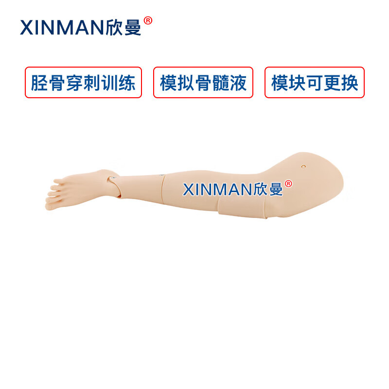 欣曼科教 胫骨穿刺训练模块 成人胫骨骨内穿刺输液训练模型XM-GC3高清大图