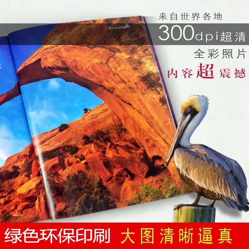 稀奇古怪的地方 [正版]3册 稀奇古怪的植物+动物+地方 儿童动物百科全书大百科全套 6-12岁青少年版全套彩图少儿童书高清大图