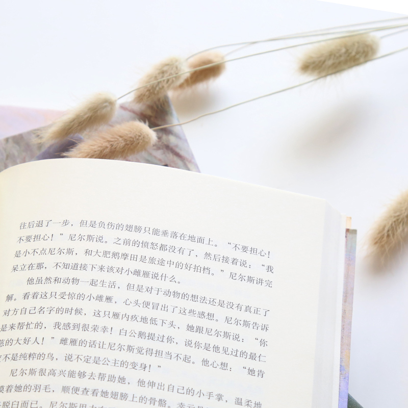 [正版]诺贝尔文学奖作品荒原狼 德 黑塞著 世界文学经典名著 现当代文学小说 世界名著经典读物外国文学 外国诗歌诗集书籍高清大图