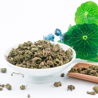 [中华特色]鹤峰馆 小堂吉叶茶叶 青钱柳2号茶120g礼盒装(4g*10袋 *3条)