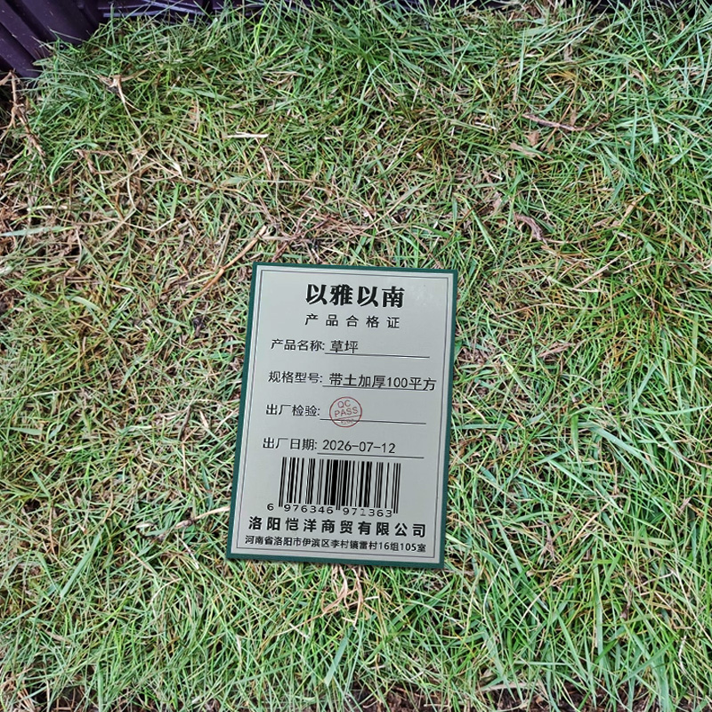 以雅以南 草坪 带土加厚100平方/块高清大图