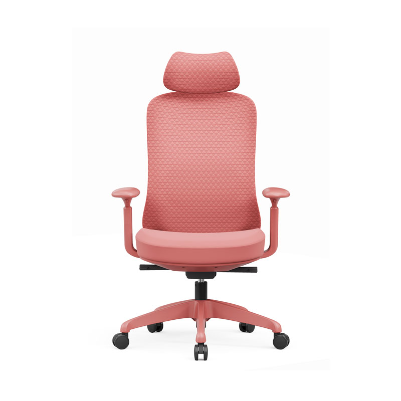 德诚和(DCH)时尚高颜值办公椅人体工学椅电脑椅高清大图