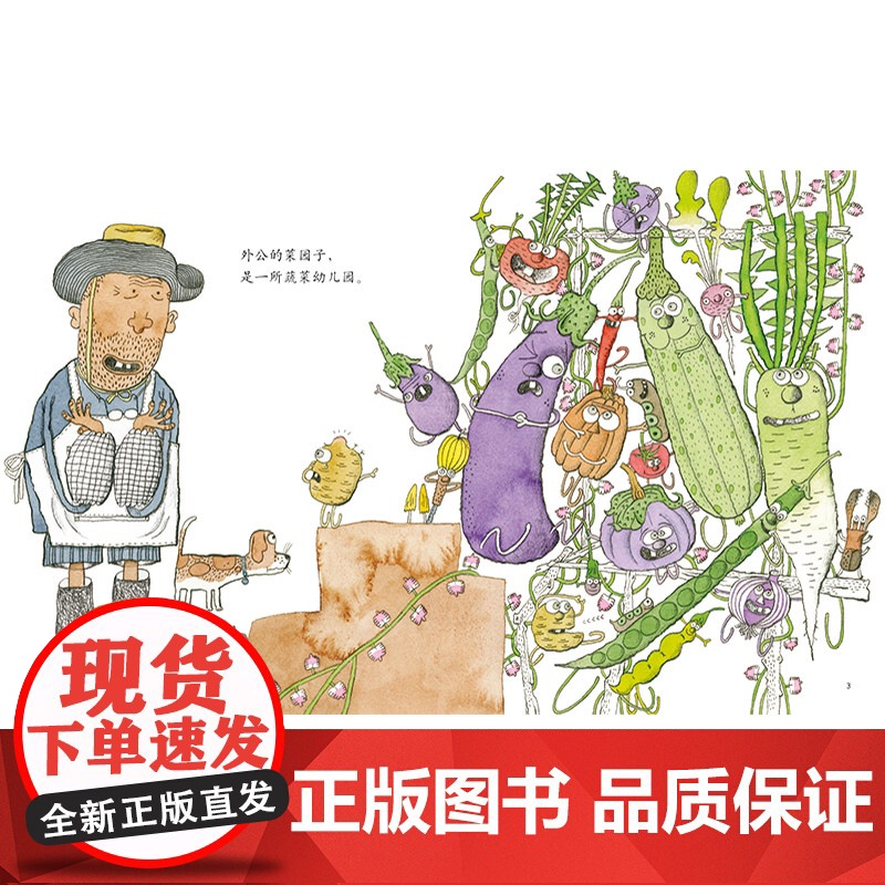 外公的菜园子硬壳精装绘本图画书适合3岁以上中国少年儿童出版社正版童书充满童趣和想象力认识蔬菜了解蔬菜的特点高清大图