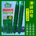 蔬菜种子四季播盆栽阳台庭院辣椒番茄甜瓜黄瓜简单秋易种籽孑大全 均码 津研黄瓜约30粒