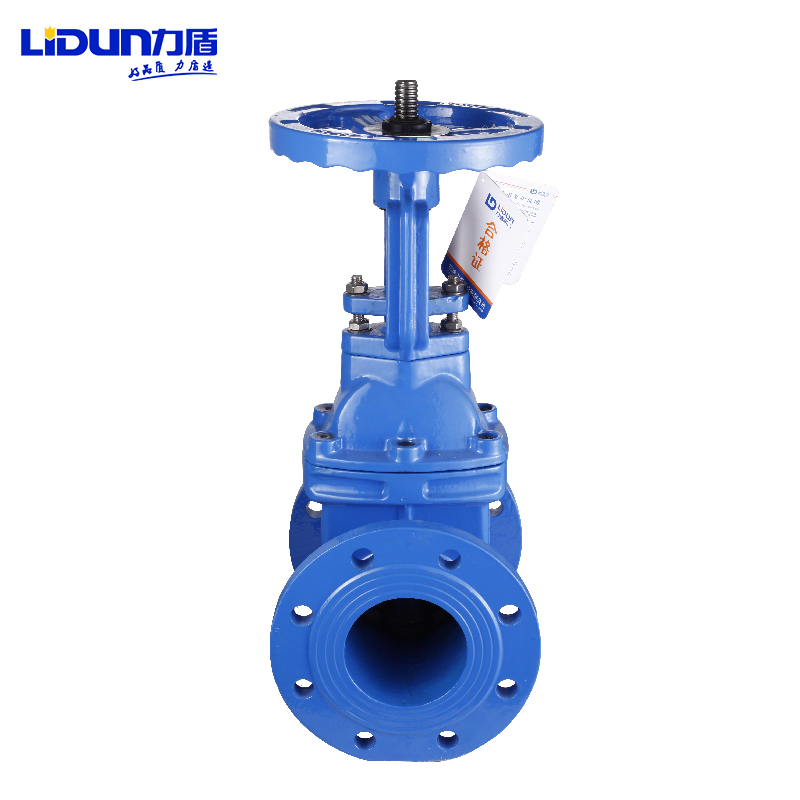 力盾 法兰明杆弹性座封闸阀 6541 DN300 台高清大图