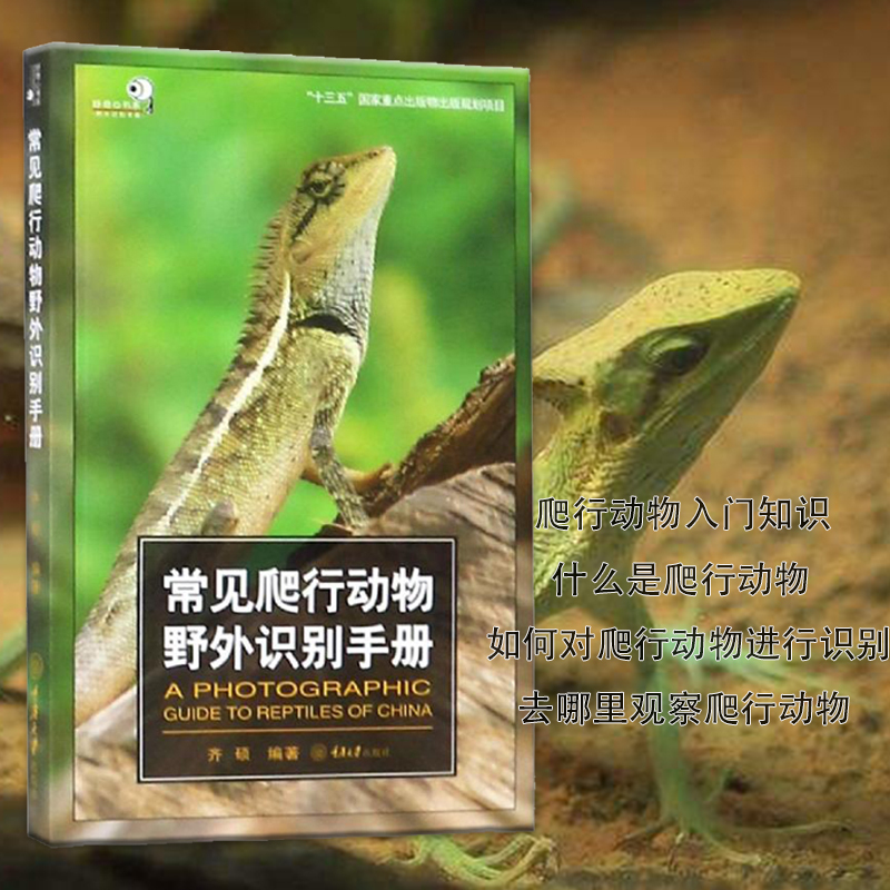 [正版]常见爬行动物野外识别手册 爬行动物知识书 两栖动物科普百科 生物世界的形态特征 少儿探秘野外动物世界大百科普图