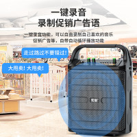 索爱(soaiy)SA-F33手提音响高低音户外k歌大音量广场舞电木吉他乐器音箱直播小型家用音箱 双麦