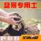 金弹子盆景土梅花泥土榕树土老桩土沙土专用营养土花土海棠种植土