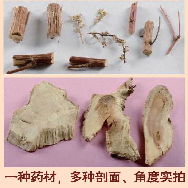 [正版] 常用中药材识别应用图上下2册 精致中草药工具丛书 中医中药学习 中药材中草药鉴别辨别 本草纲目中医中药常
