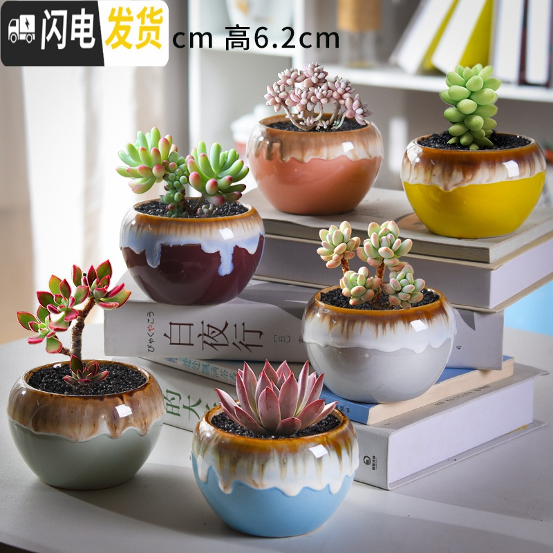 三维工匠多肉花盆套装组合创意个性简约植物盆器室内肉肉花盆批发 如图款式5 中等花盆容器