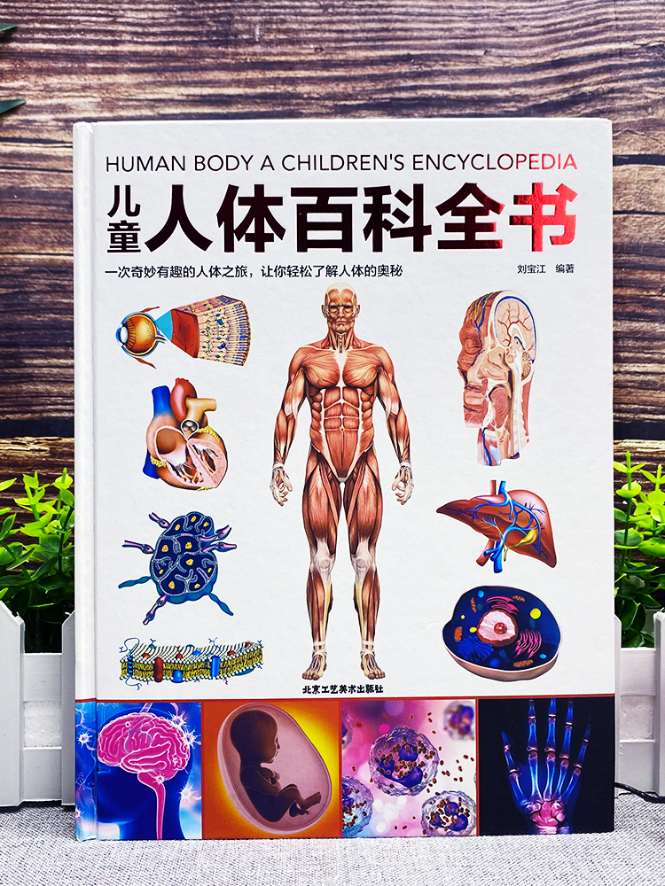 [醉染正版]精装儿童人体百科全书 6-9-12岁课外书籍科普百科少儿百科全书揭秘人体绘本漫画书 亲子读本儿童文学我们的身高清大图