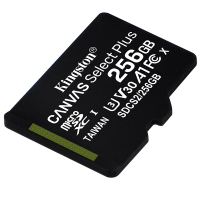 金士顿(Kingston)256GB A1 V30 U3 switch内存卡 (MicroSD)TF存储卡 100M/S