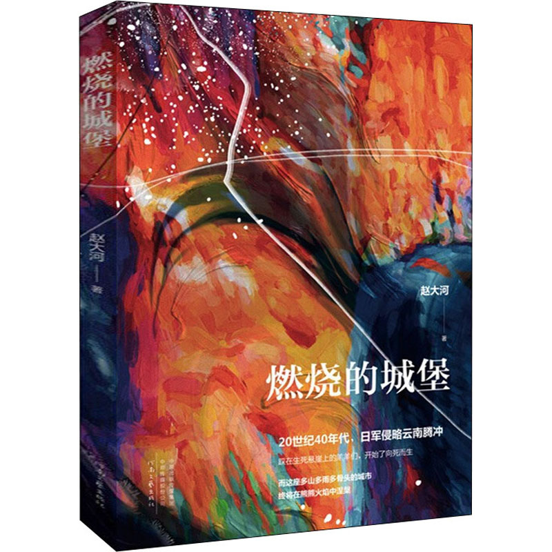 燃烧的城堡 赵大河 著 文学 文轩网