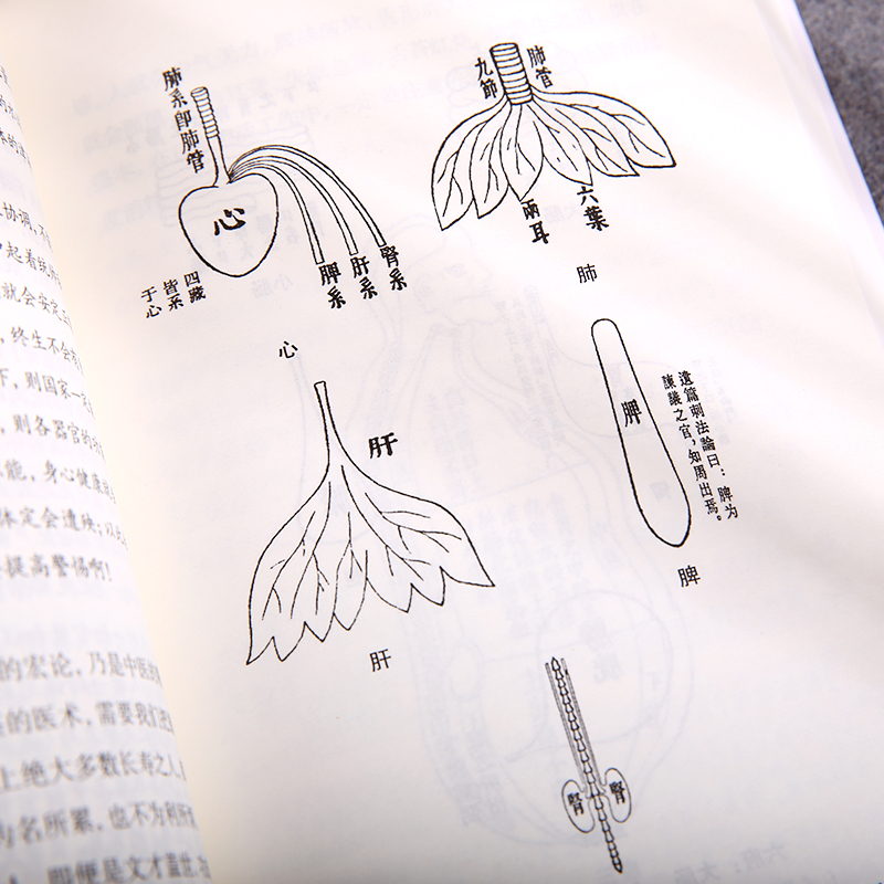 [正版]3本黄帝内经通解全集原著无删节全译谦德国学文库中医古籍修生营养文化中医养生书健康中医药学入门书籍名著国学经典