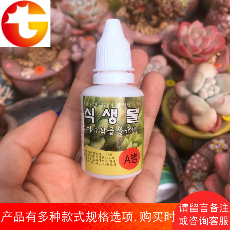 多肉煤烟病 修护营养剂 介壳虫蚧克虫黑腐黑斑专用植物介壳养护液