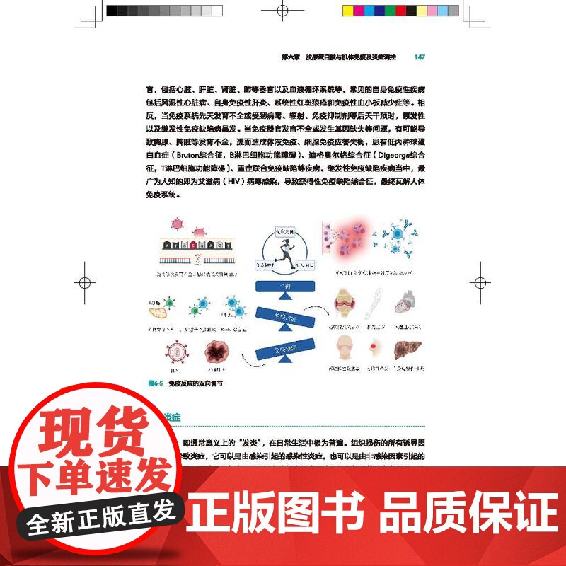 科技.胶原蛋白与胶原蛋白肽功能与应用洪惠谭雨青罗永康出版年份2022年最新印刷2023年7月版次1最高印次2食品与生物食高清大图