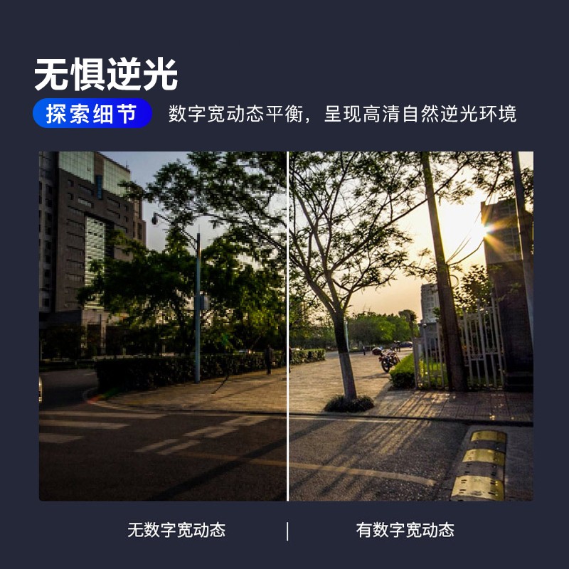 大华摄像头监控室外网络高清夜视自带录音poe供电监控器 200万双灯红外poe枪机DH-P20A1 6mm镜头高清大图