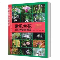 正版 常见兰花400种识别图鉴 吴棣飞 兰花图鉴基础知识 科普百科书籍 种类分类 园艺栽培 兰科植物 自然科学