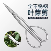 隆脉 全不锈钢园艺剪叶芽剪嫩芽剪刀 把