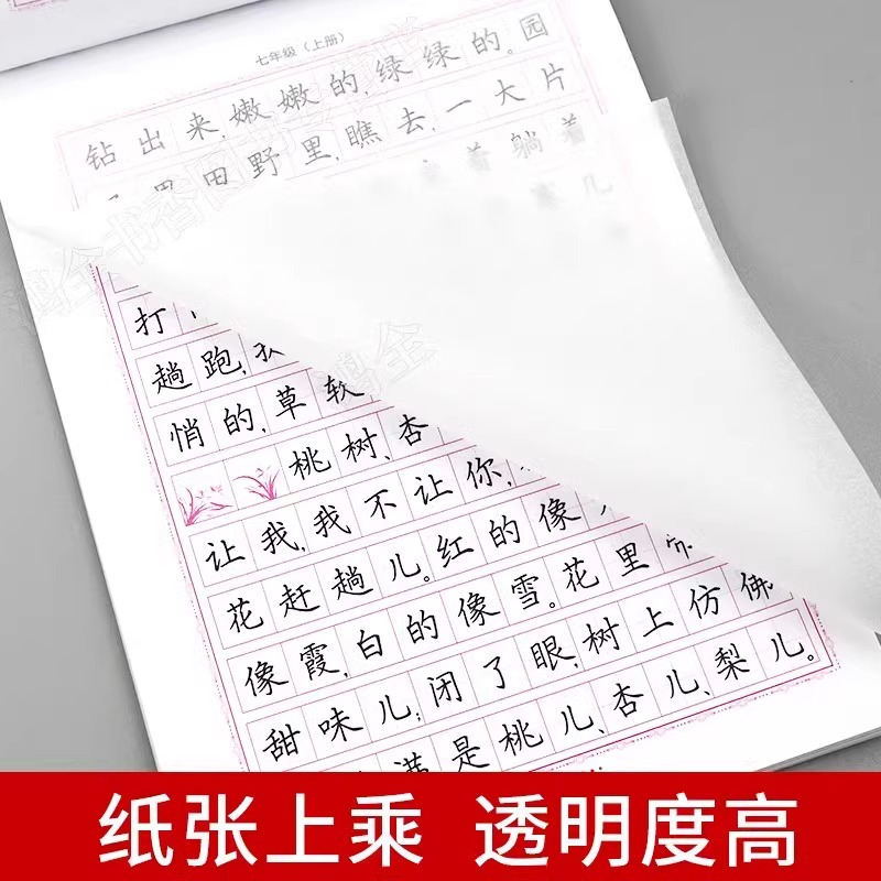 语文写字课课练 人教版 七年级上 [正版]2025新版初中生写字课课练七年级八年级九年级上册下册同步语文同步字帖人教版英