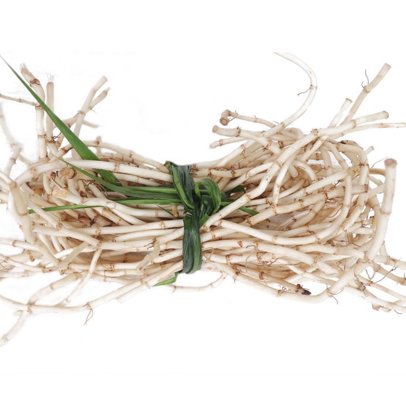 鱼腥草新鲜 嫩根折耳根 新鲜 野生湖北凉拌现挖鱼腥草3斤 新鲜现挖