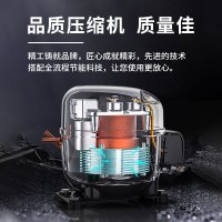冰熊 188升 家用商用一级能耗节能小冰柜迷你卧式冷藏冷冻双温双箱冷柜