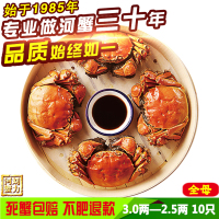 盘锦河蟹 刘力河蟹稻田蟹 盘锦野生鲜活大河蟹 全母3.0-2.5两 10只 大闸蟹礼盒 个个保肥 不肥退款 死蟹包赔