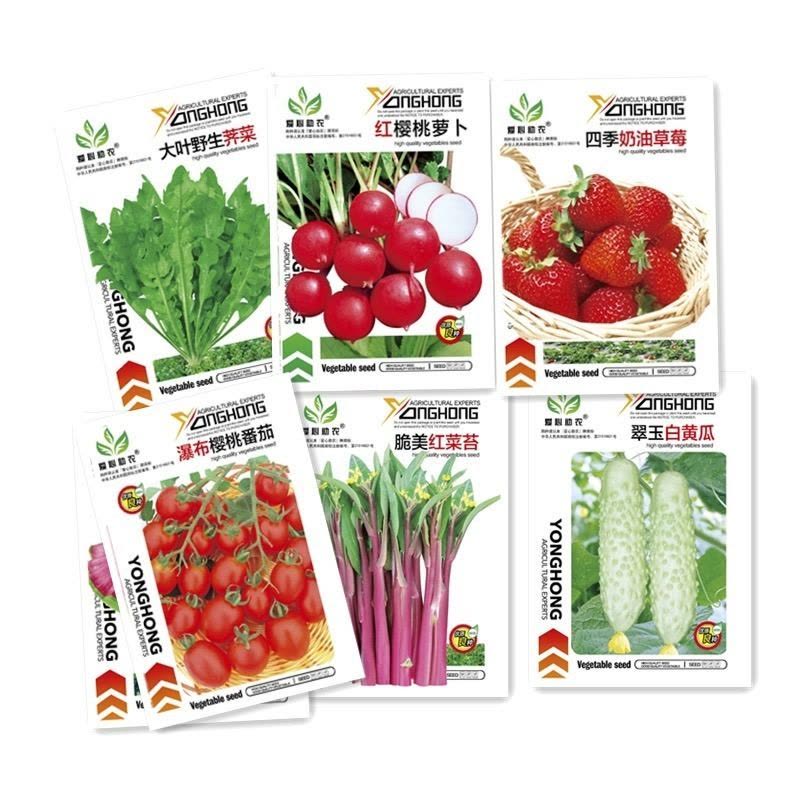 [补贴10%]蔬菜种子四季播种阳台农家盆栽香菜菠菜生菜韭菜小葱草莓籽孑大全图片