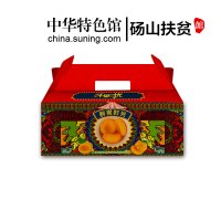 【中华特色】砀山扶贫馆 桃美滋 鲜果时光砀山黄桃罐头 食用糖水罐头果捞 华东