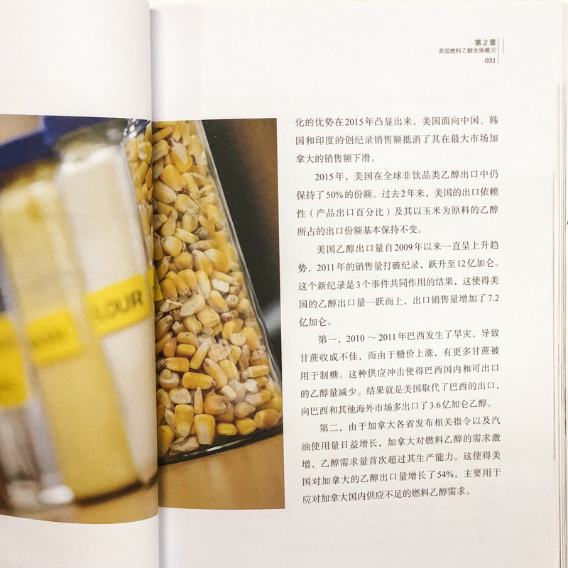 醉染图书燃料乙醇:美国发展经验分享与启示9787122434高清大图