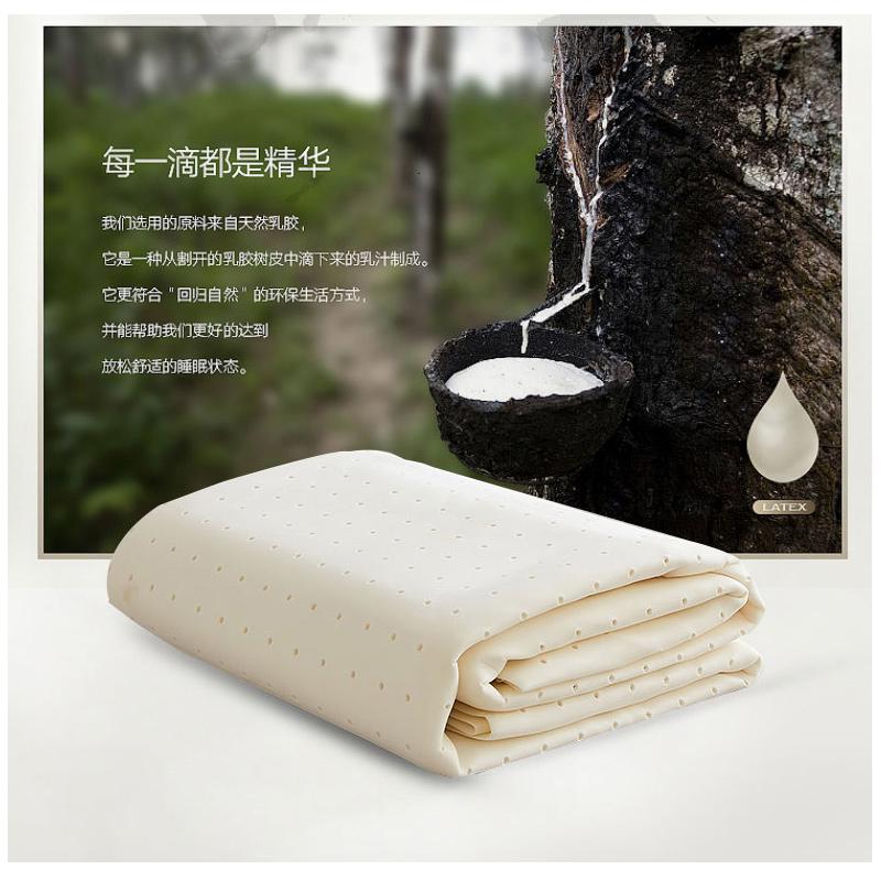 家柏饰(CORATED)泰国乳胶冰丝凉席1.8m床三件套夏季2.0米可水洗折叠夏天1.5软席子高清大图