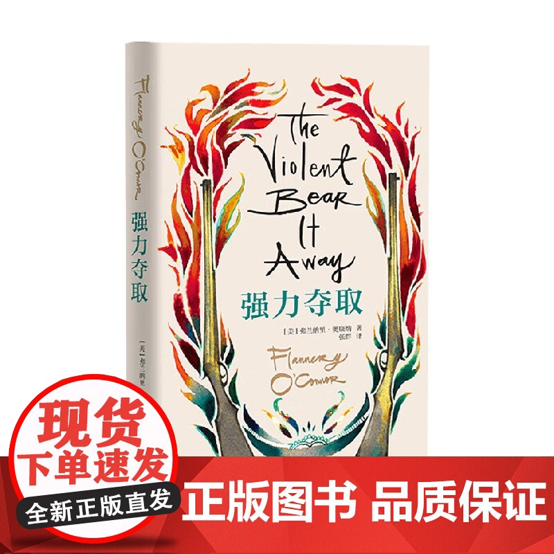 强力夺取 弗兰纳里·奥康纳 著 小说