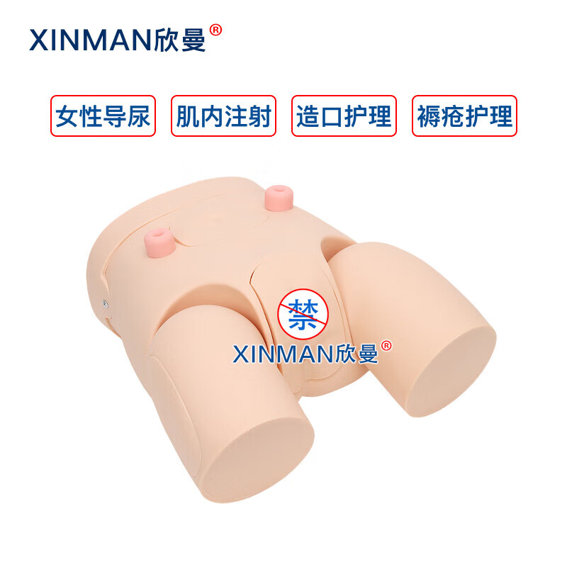 欣曼科教 高级女性导尿操作训练模型 导尿练习模拟人XM-H11高清大图