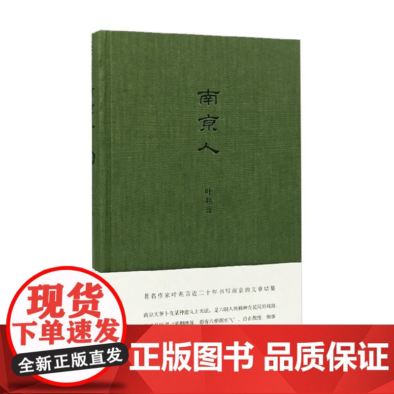 南京人 叶兆言 著 文学高清大图
