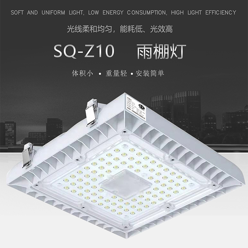 尚关(SHANGGUAN) 雨棚灯 SQ-Z10 AC220V LED 40W