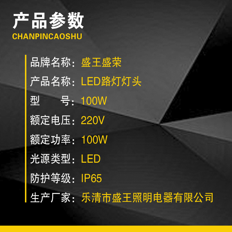盛王盛荣 LED路灯灯头高清大图