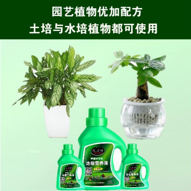 营养液土水培花卉盆栽叶面肥料水仙绿萝文竹所有植物通用型