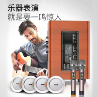 爱浪(Avlight)CK-205T 吸顶式2.1客厅音响KTV钢琴漆音箱套装家庭影院电视音响HIFI级音效