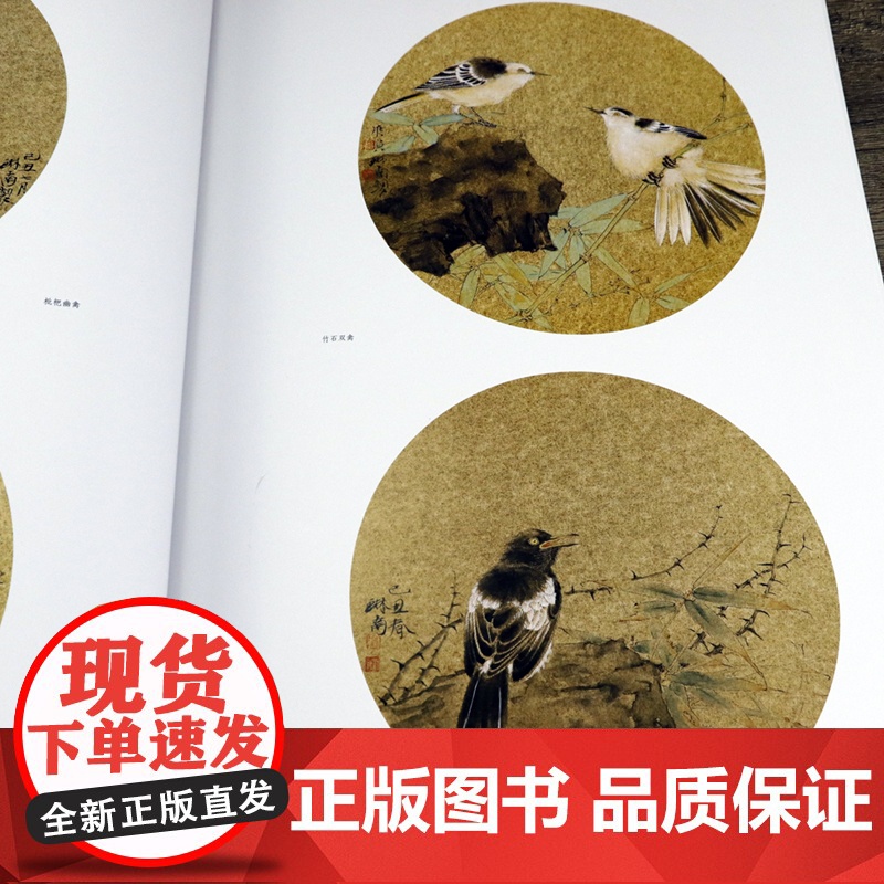 当代工笔名家扇面集萃 唯美新势力系列丛书 花鸟花卉扇面团扇画集画法欣赏书籍高清大图
