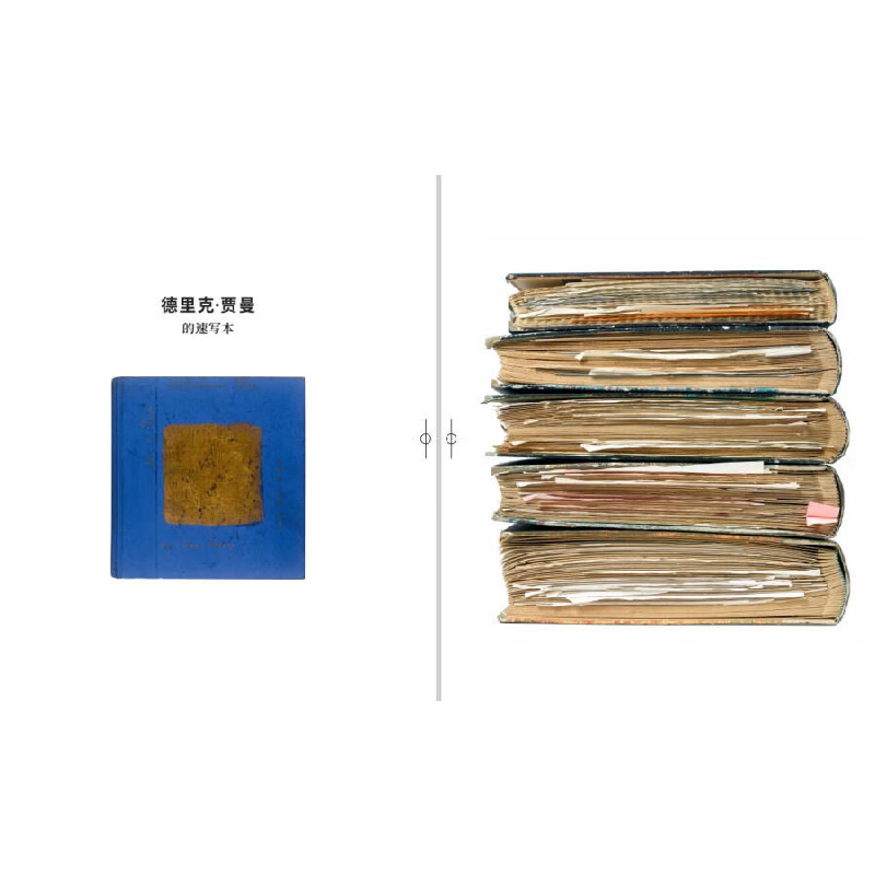 正版新书]德里克·贾曼的速写本[英] 史蒂芬·法辛 等 编978756894高清大图