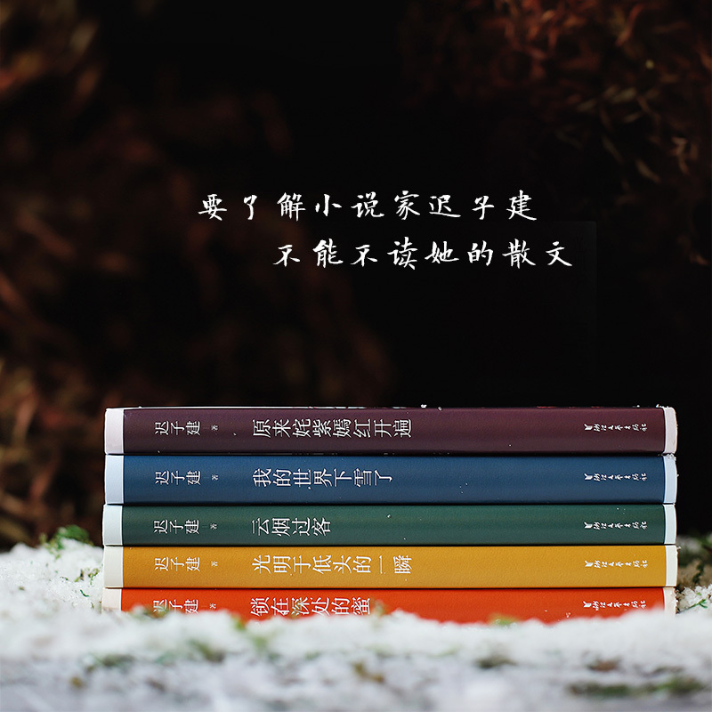 [友一个正版]迟子建散文典藏版全5册 茅盾文学奖得主迟子建散文自选集我的世界下雪了原来姹紫嫣红开遍云烟过客光明于低头的