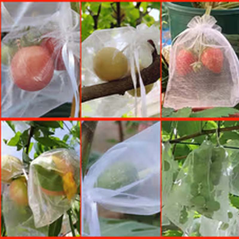 瓜果防虫网袋 25*35CM 20个网袋高清大图
