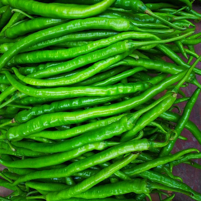赛卡伊四川露天青辣椒二荆条线椒当季新鲜蔬菜农家自种青椒条子辣椒现