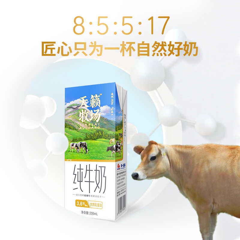 明一天籁牧场纯牛奶250ml*12盒3.6g乳蛋白娟姗牛和荷斯坦牛配料生牛乳高清大图