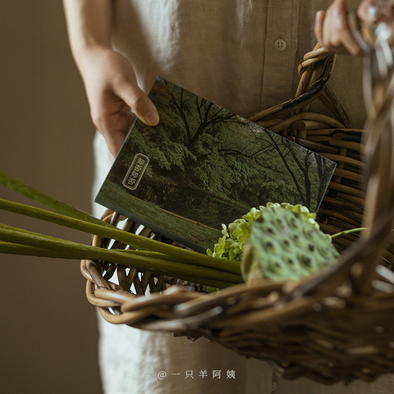 [正版]知否知否 摄影师@一只羊阿姨28张摄影作品 大自然中绿色系景象和事物 出类艺术明信片创意唯美风景文艺小清新贺卡高清大图