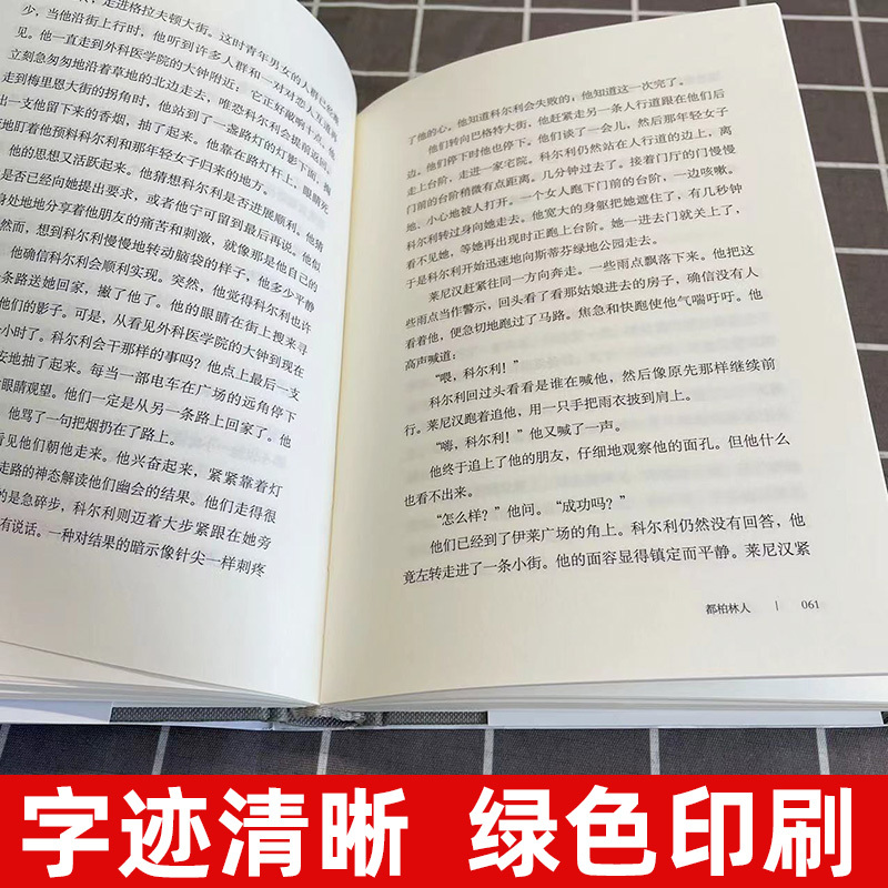 [正版]译文经典都柏林人 乔伊斯著/王逢振译 爱尔兰文学 上海译文出版社 初高中学生课外阅读 名家名译世界名著文学外国