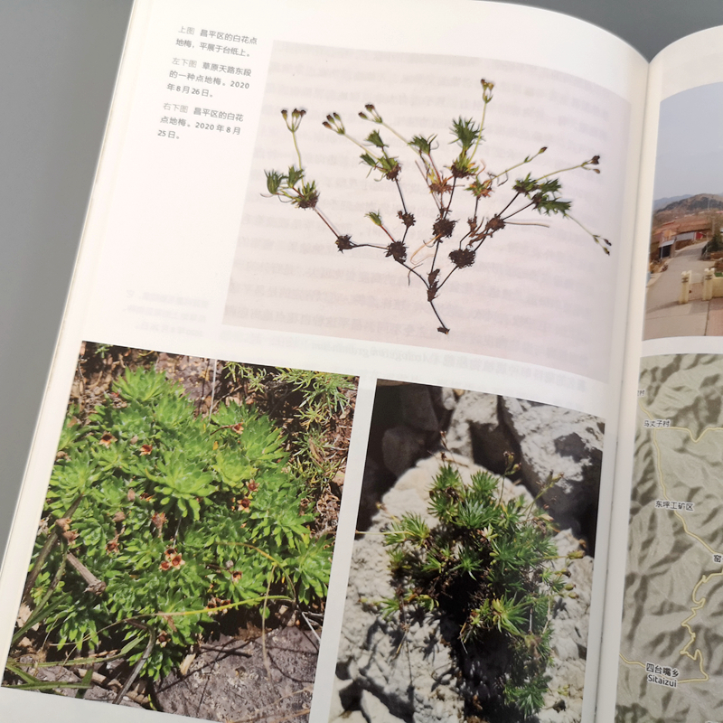 醉染图书崇礼博物散记9787301325742高清大图